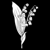LilyoftheValley01NC2bw